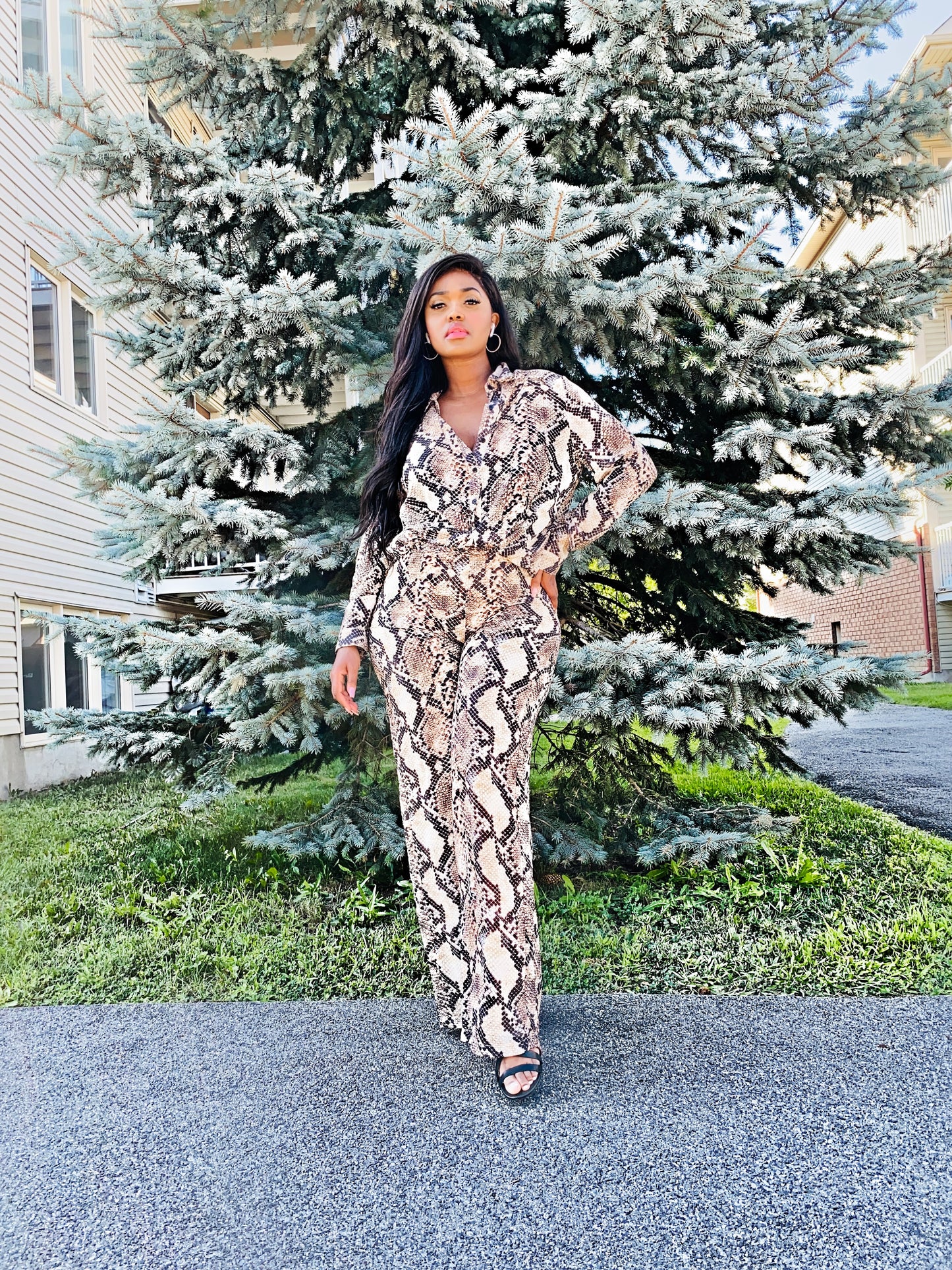 Brown Snake Print Oversized Shirt