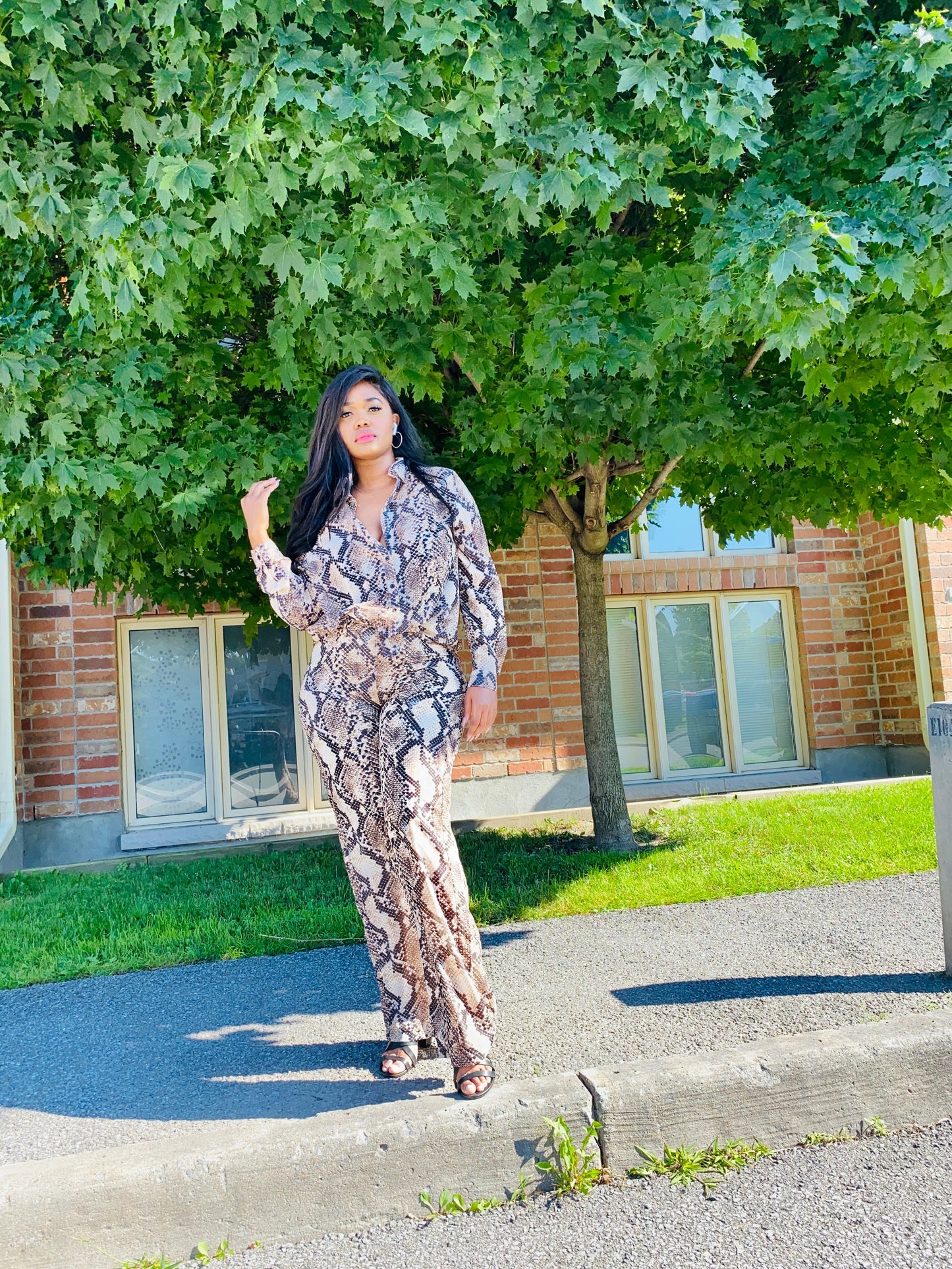 Brown Snake Print Wide Leg Pants